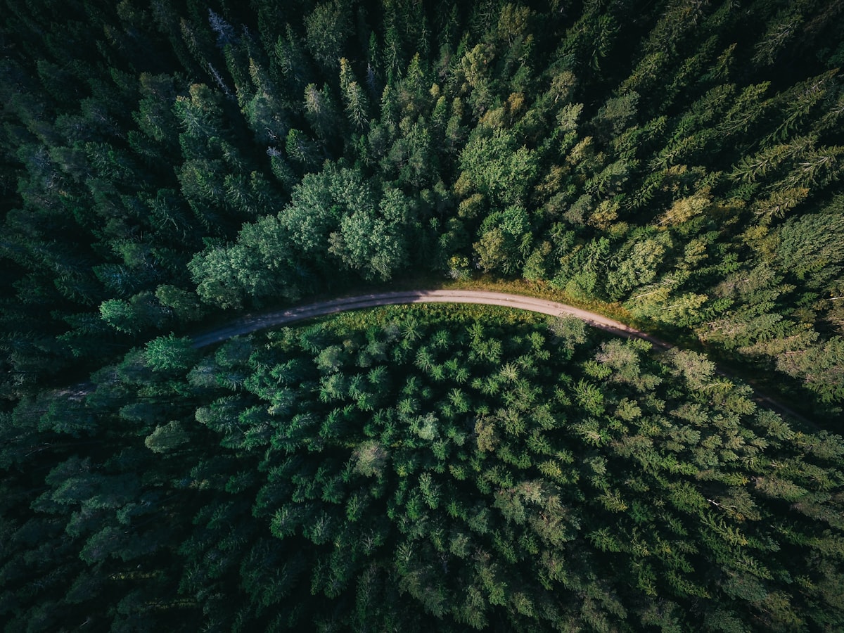Mobirise